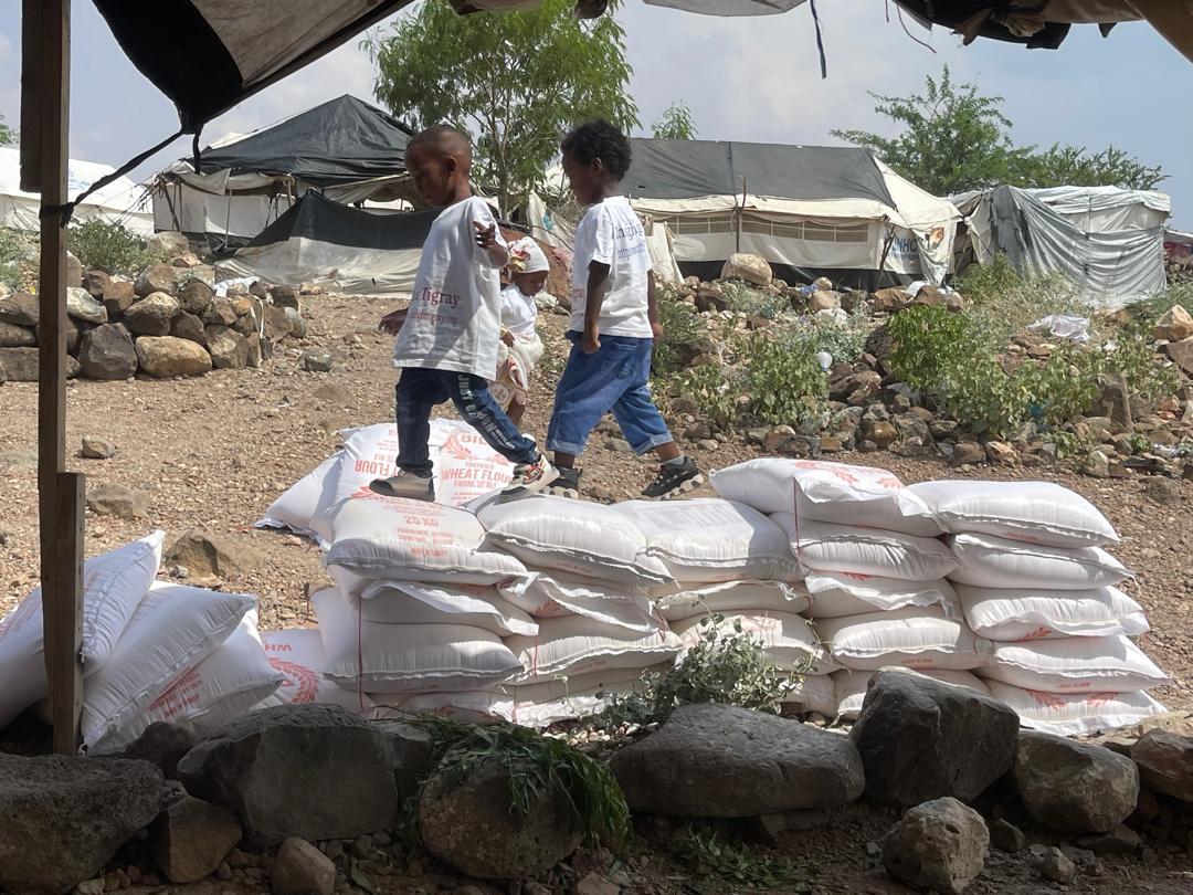 Insight Tigray photo 8